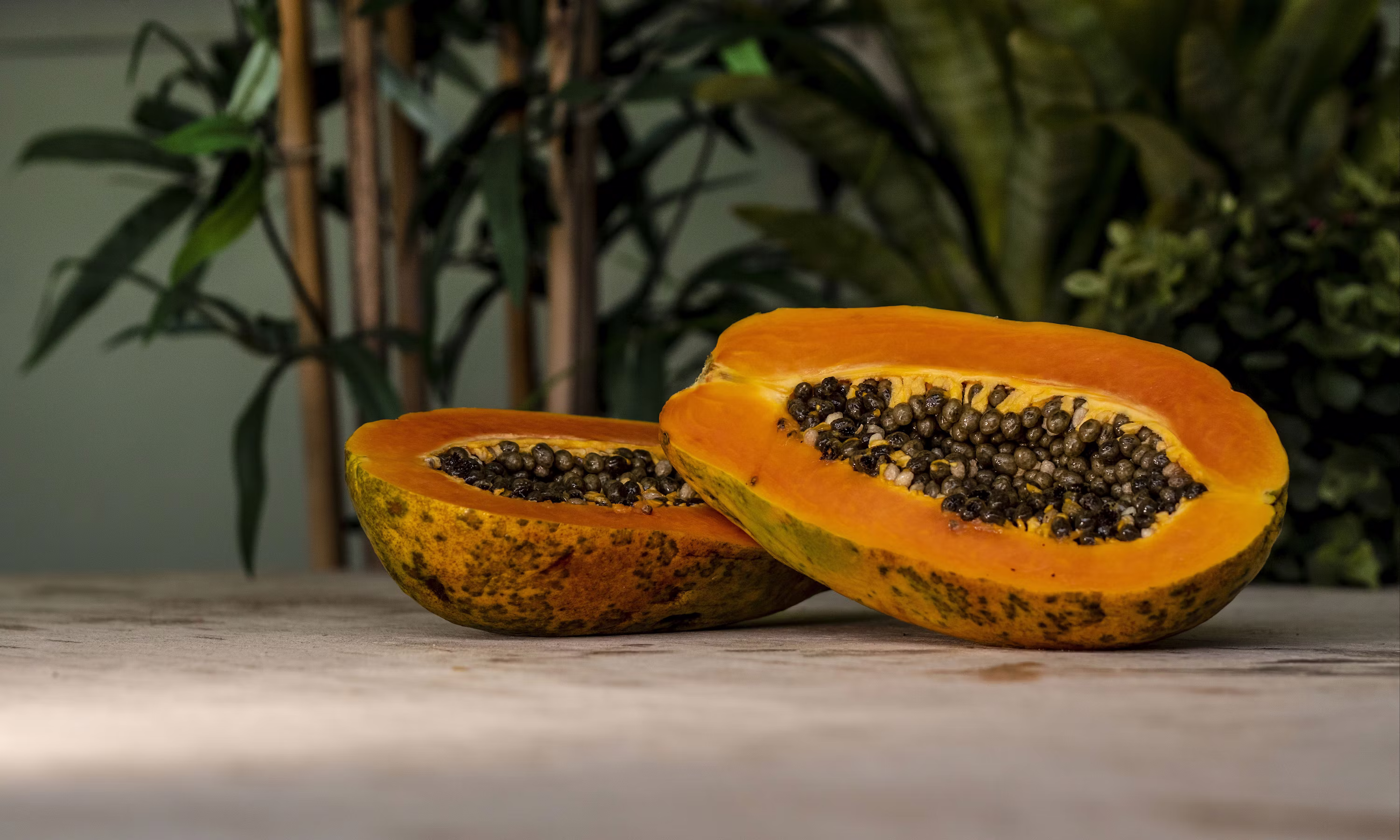 Papaya