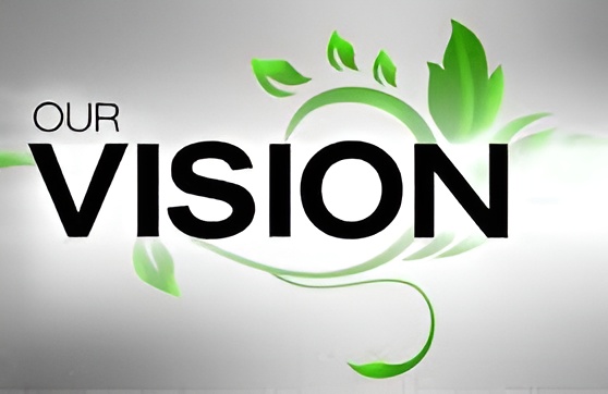 Ambulance Vision